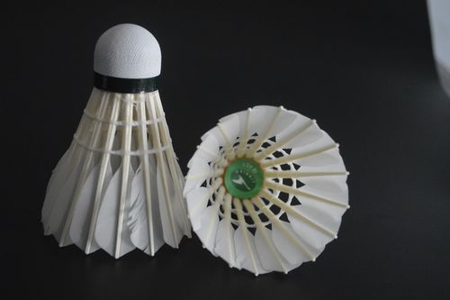 控场工具人 控场工具人